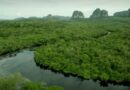 Deforestación en el Parque de Chiribiquete
